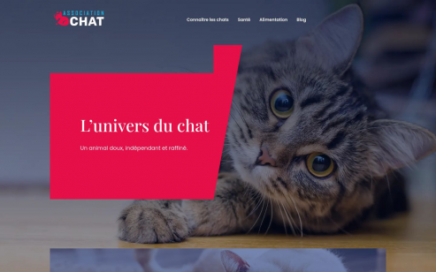 https://www.association-chat.fr