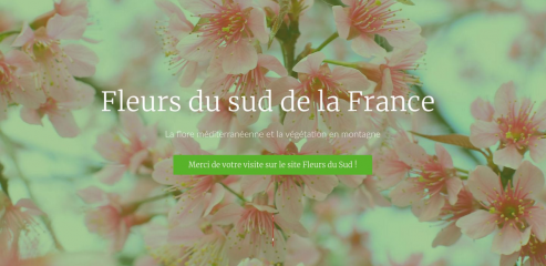 https://www.fleursdusud.fr